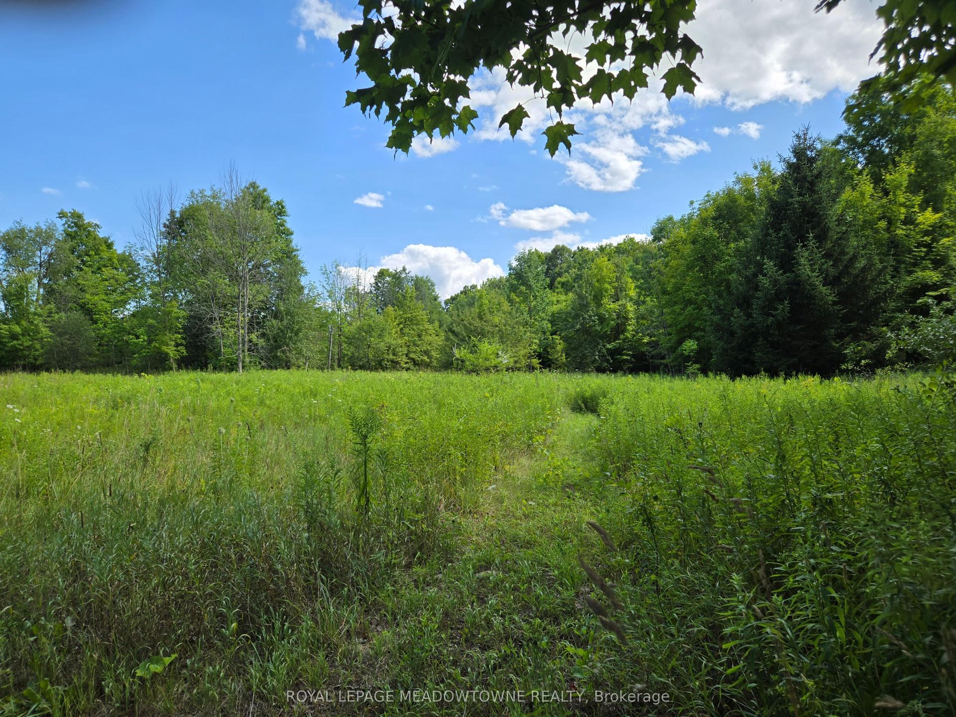 9414 First Line Nassagaweya N/A, Milton — Land for sale, photo 1