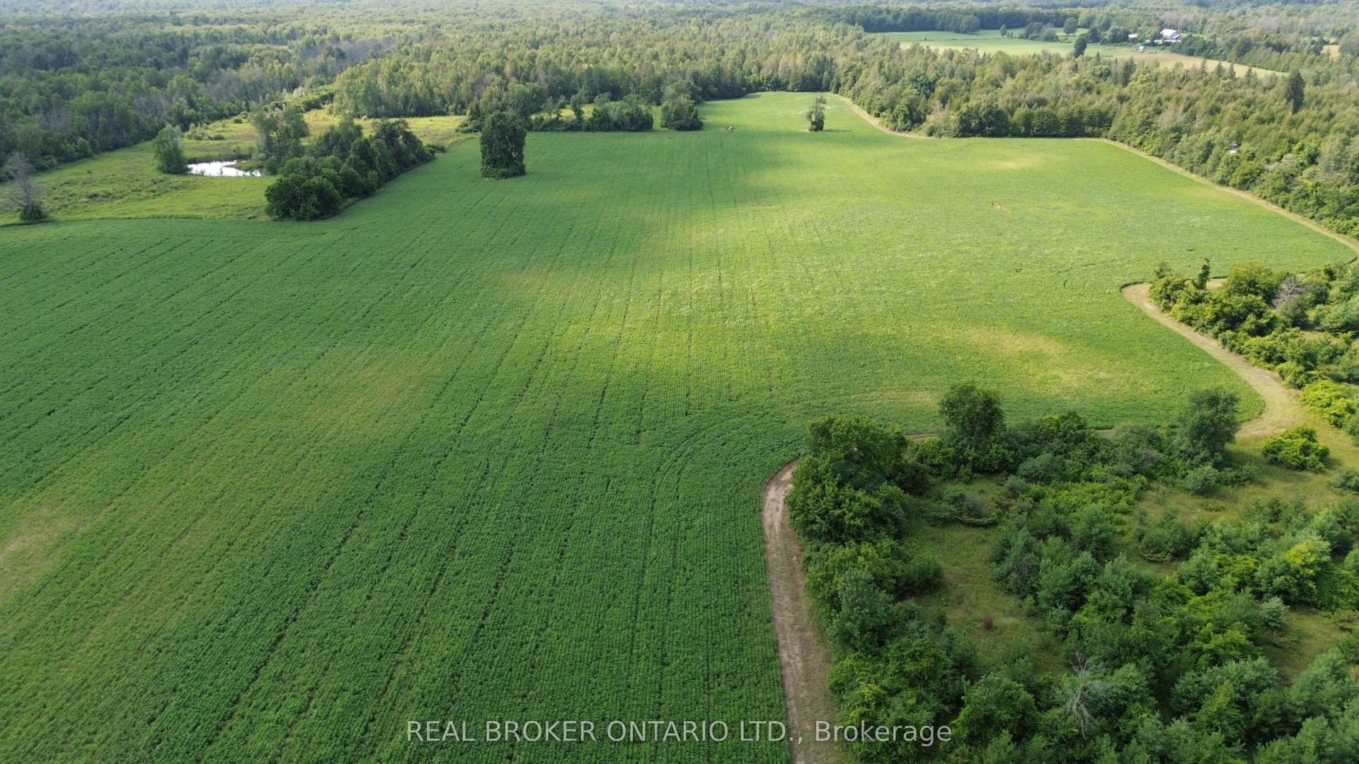 3115 PADEN Road, Manotick - Kars - Rideau Twp and Area — Land for sale, photo 1