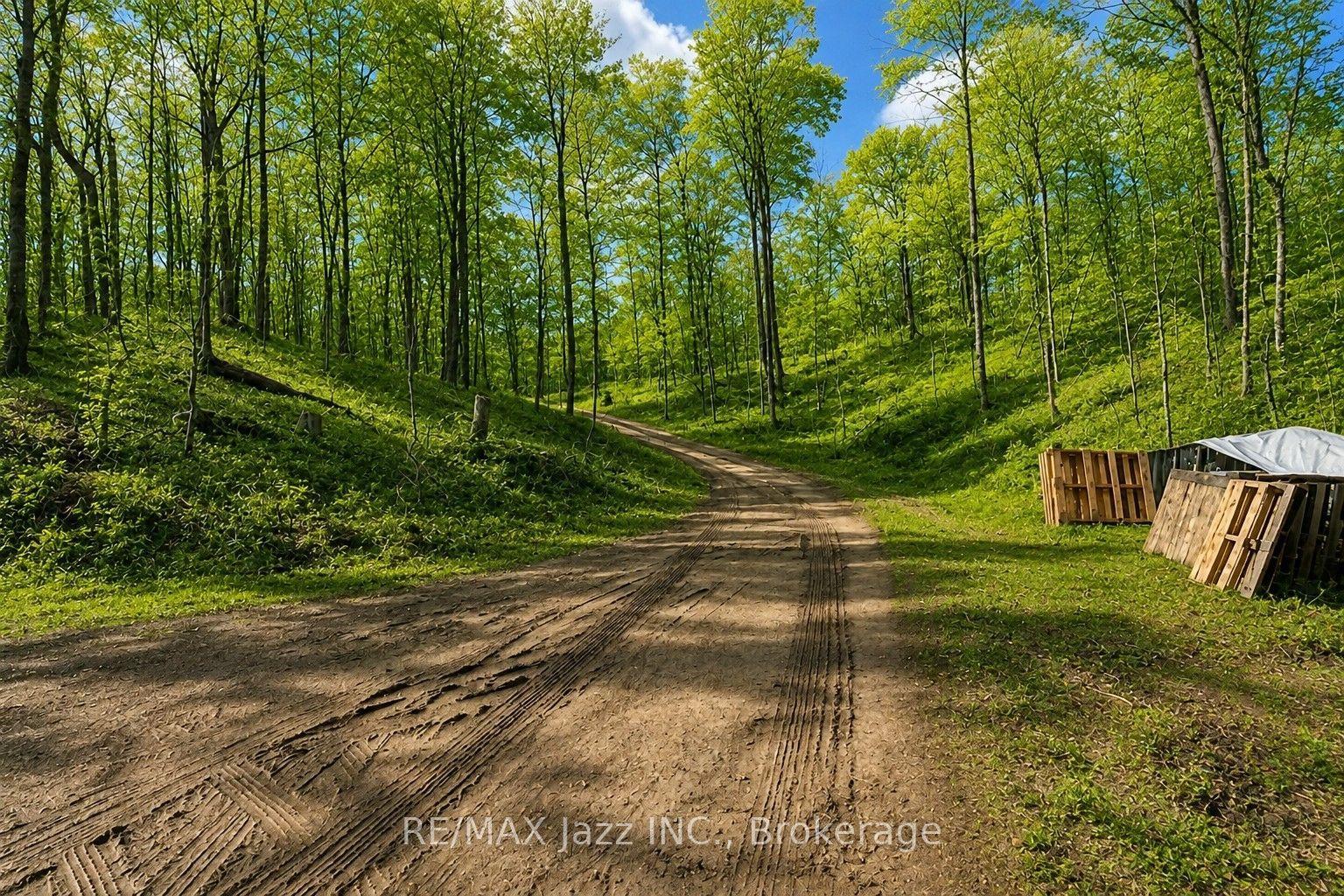 1091 Crystal Lake Road, Trent Lakes — Land for sale, photo 1