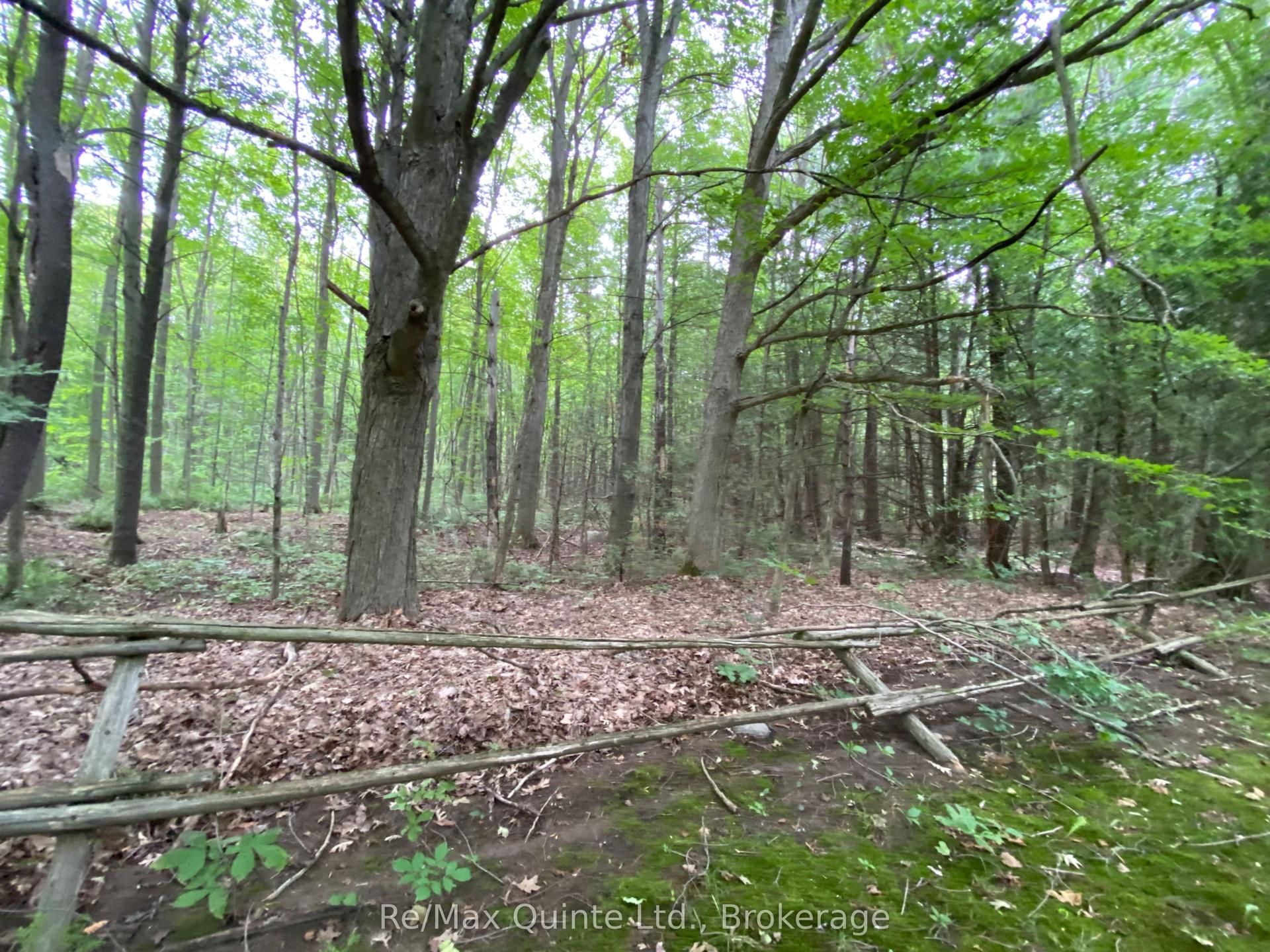 0 County Rd 30, Brighton — Land for sale, photo 1