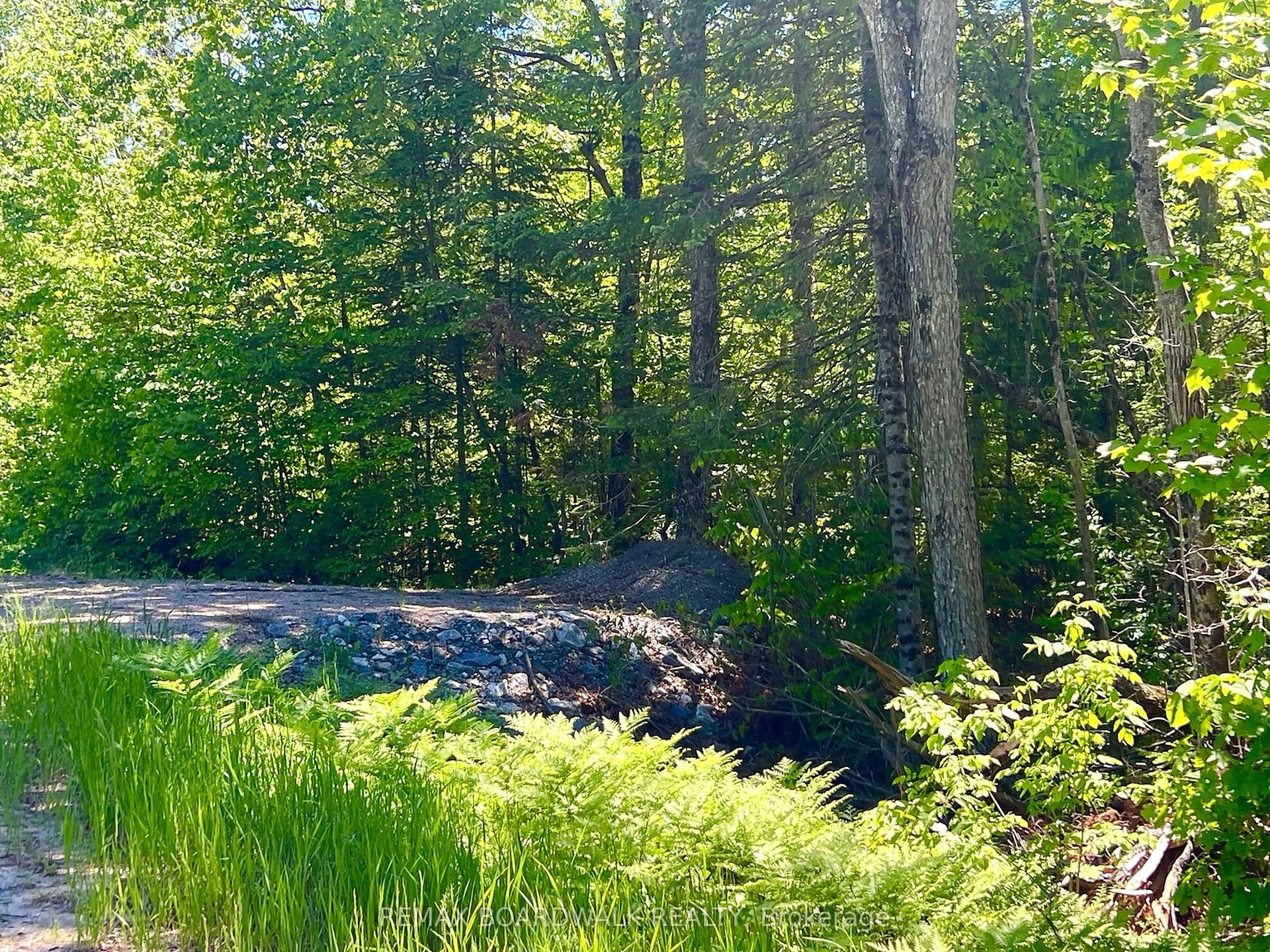 00 Buckshot Lake Road — photo 1