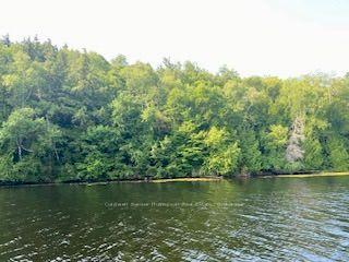 LOT 13-A LITTLE LONG N/A — photo 1