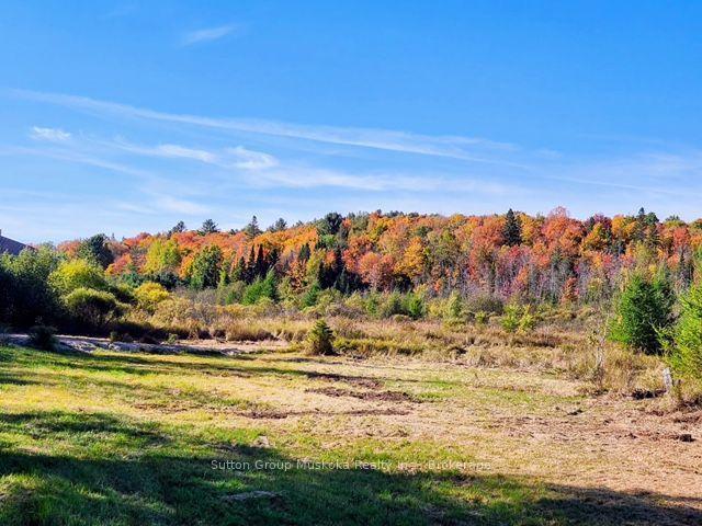 530 Clearwater Lake Road, Huntsville — Land for sale, photo 1