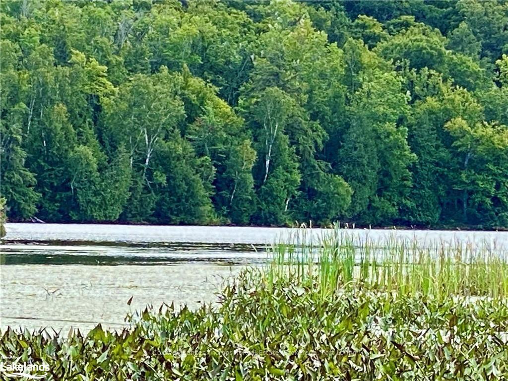 151 MAPLE Drive — photo 1