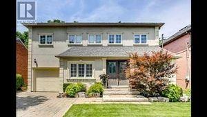 244 Horsham Avenue Bsmt #Bsmt, Toronto — Detached for lease, photo 1