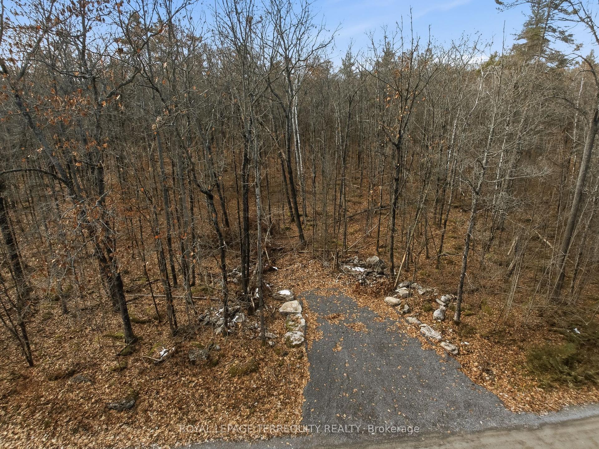 64 Maple Road — photo 1
