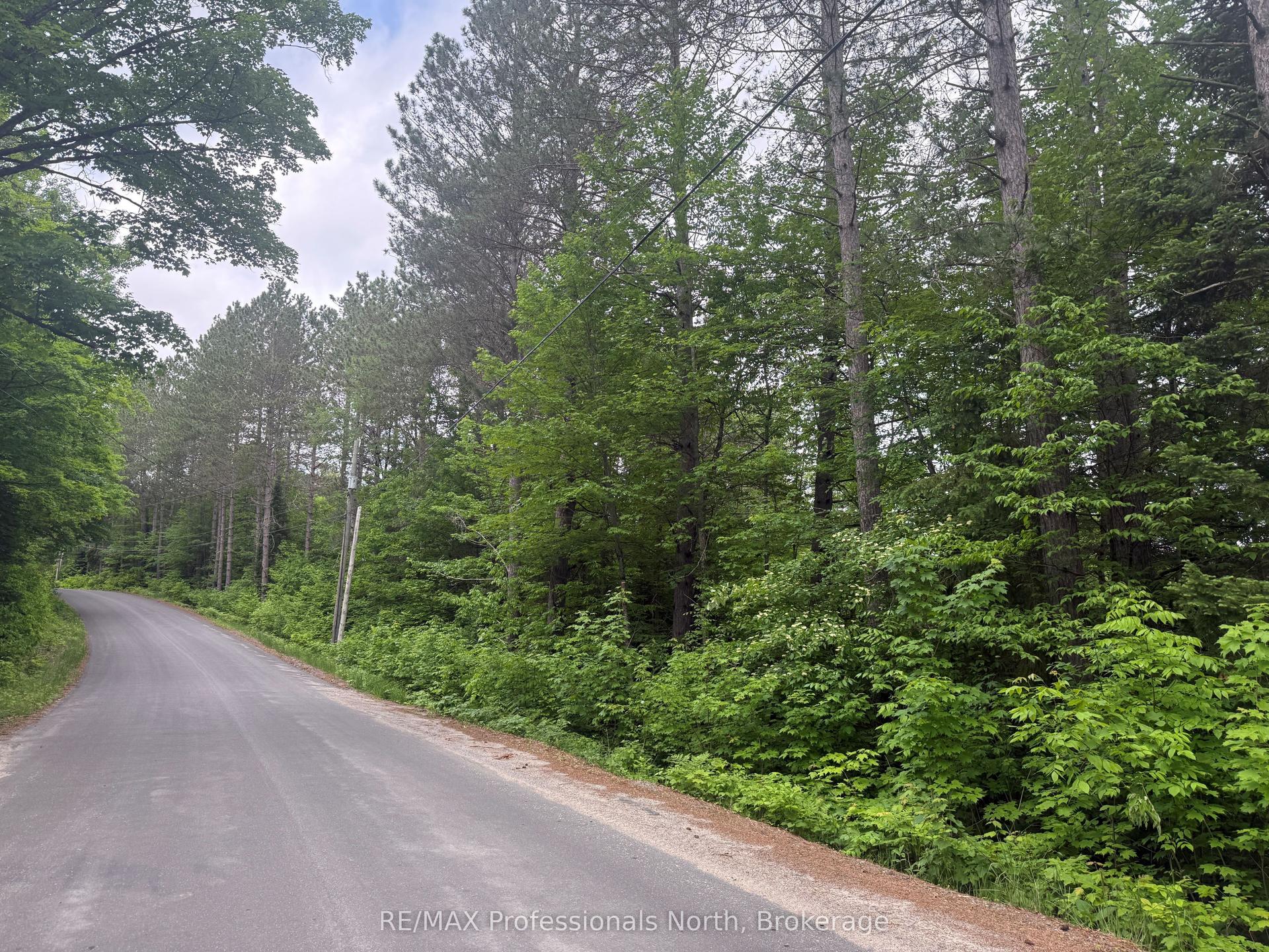 1333 Williamsport Road N, Huntsville — Land for sale, photo 1