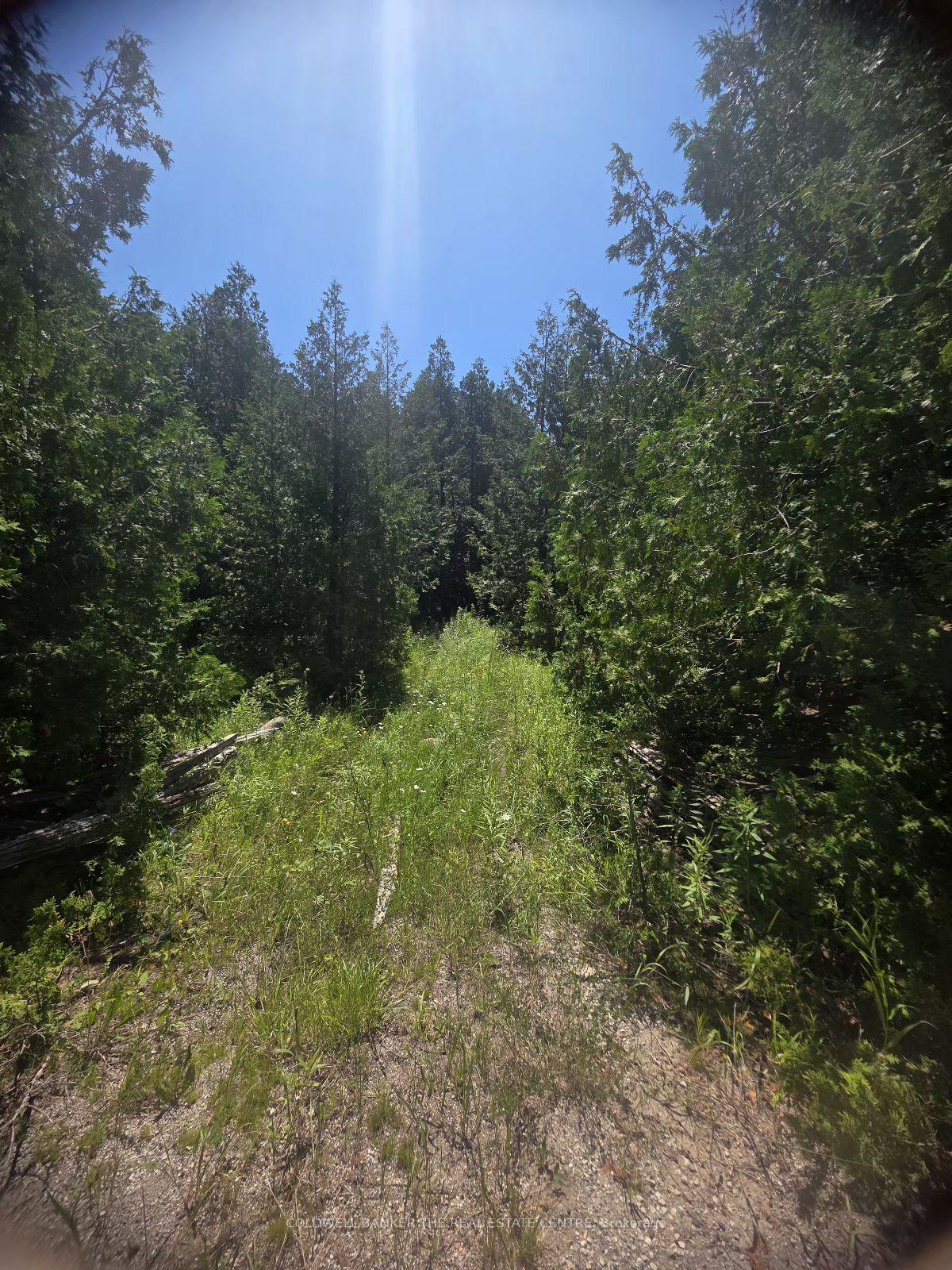 N/A W GOVERNMENT RD Acres W, Tehkummah — Land for sale, photo 1