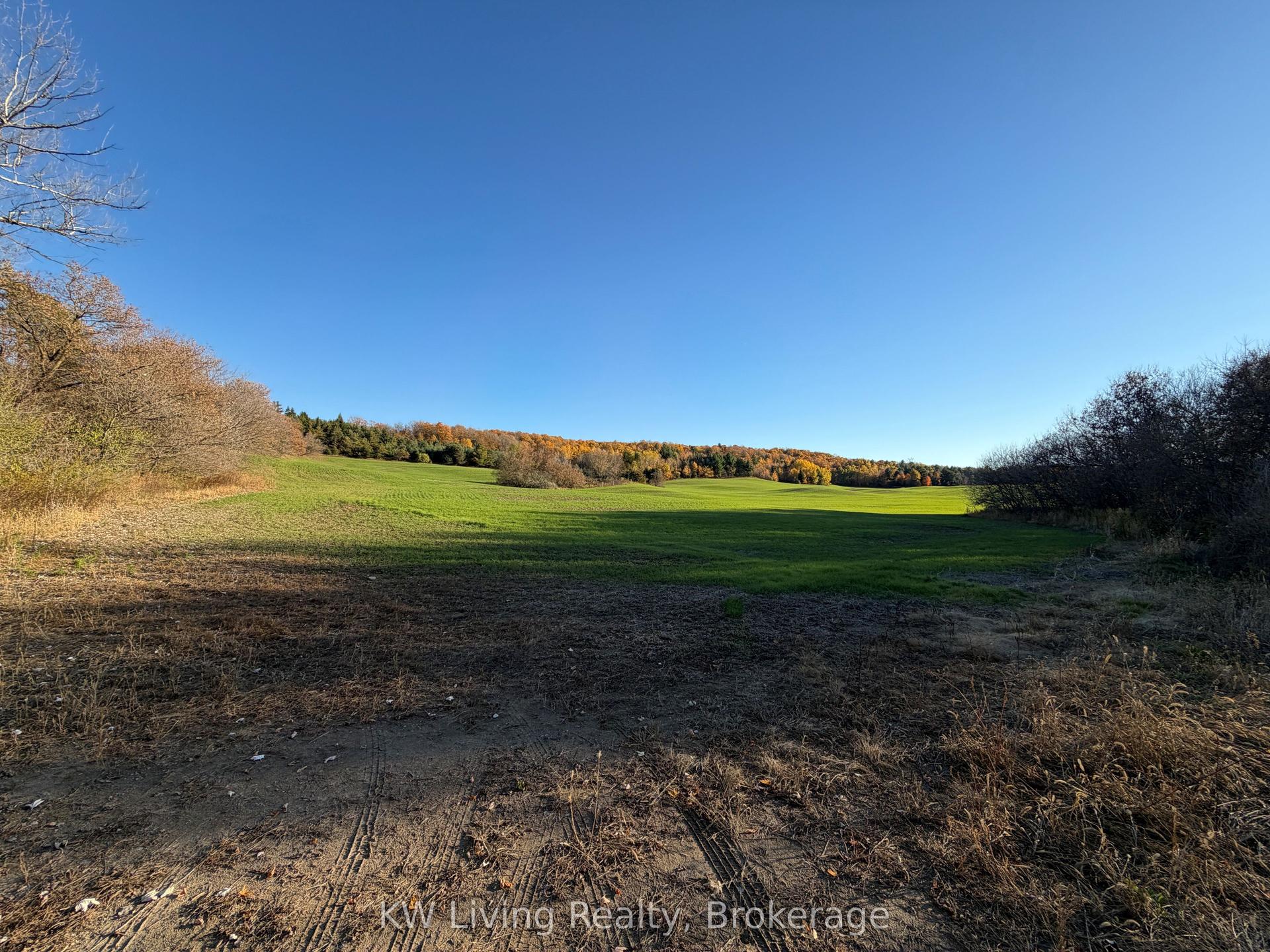16724 Mount Wolfe Road, Caledon — Land for sale, photo 1