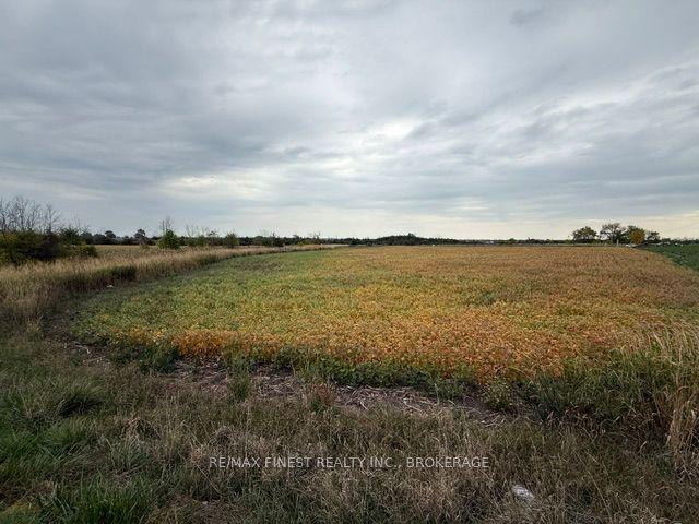 208A Drive In Road — photo 1