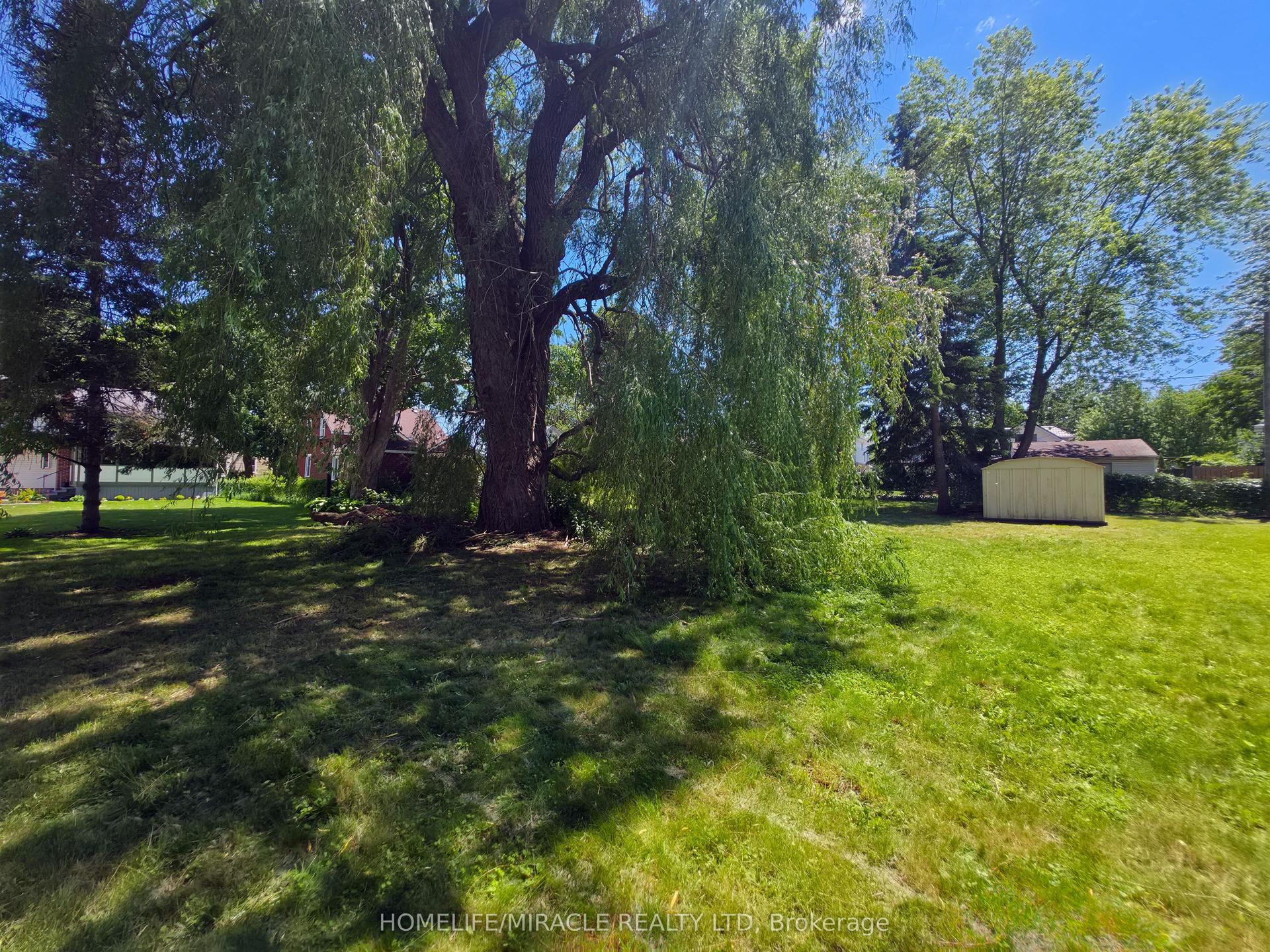 17 Goderich Street — photo 9