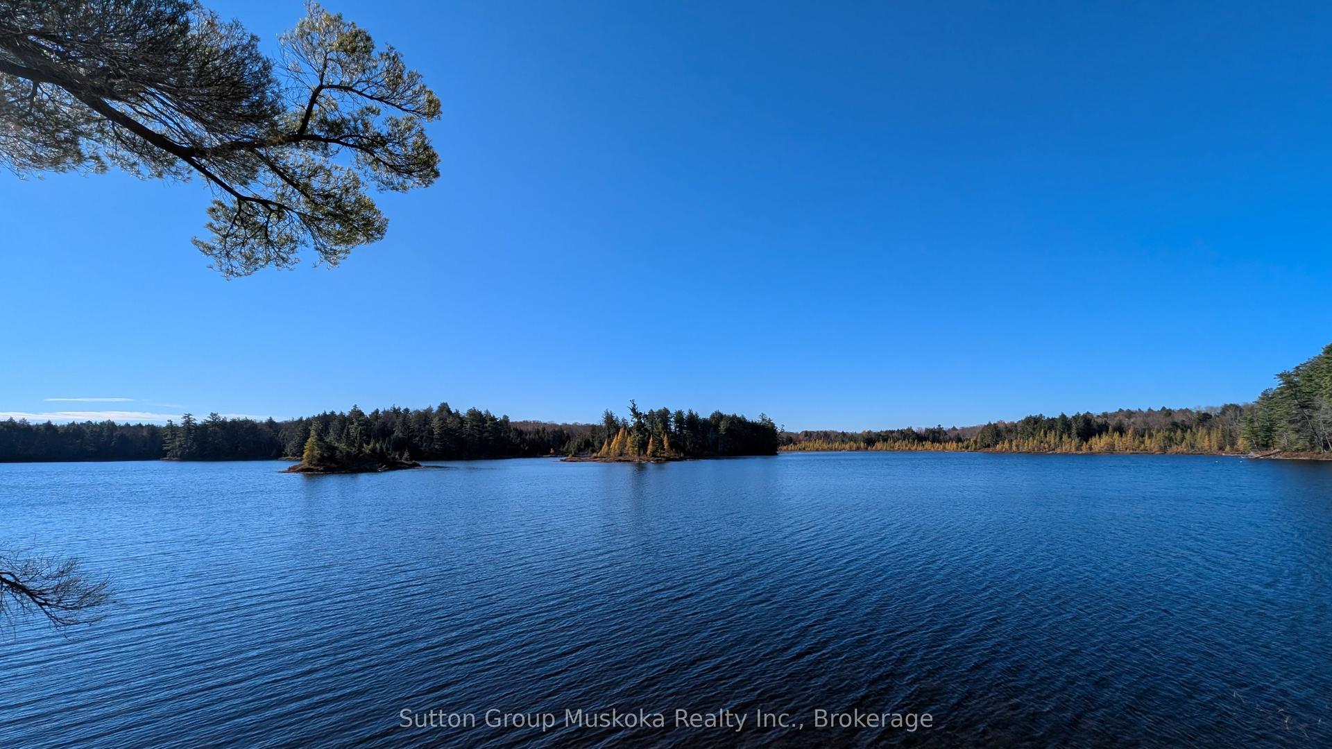 1448 Limberlost Road, Lake of Bays — Land for sale, photo 1