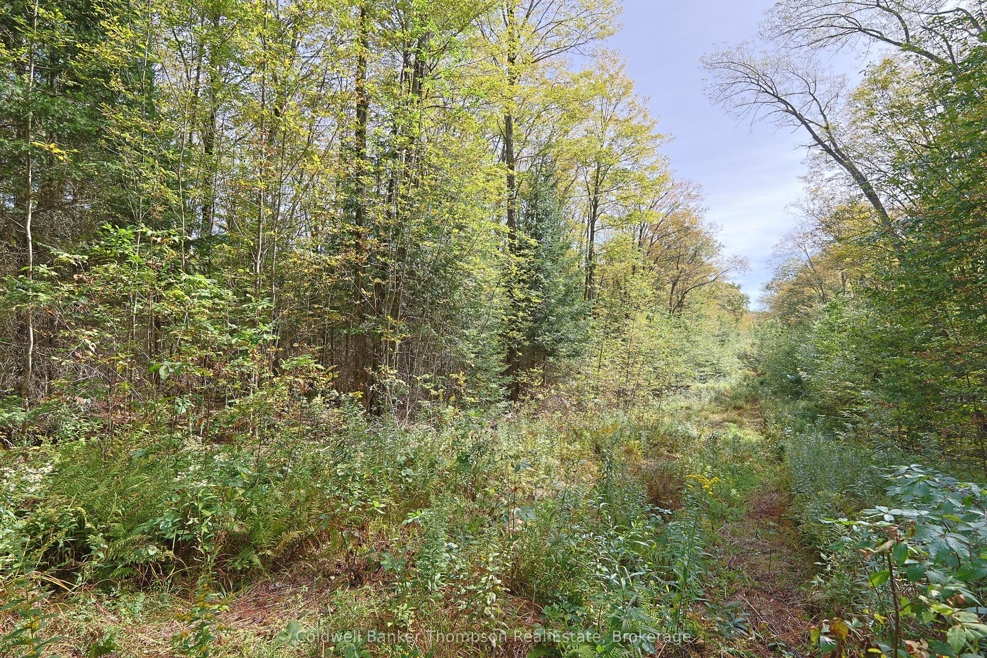 Lot 61 Off of Echo Ridge Road, Kearney — Land for sale, photo 1