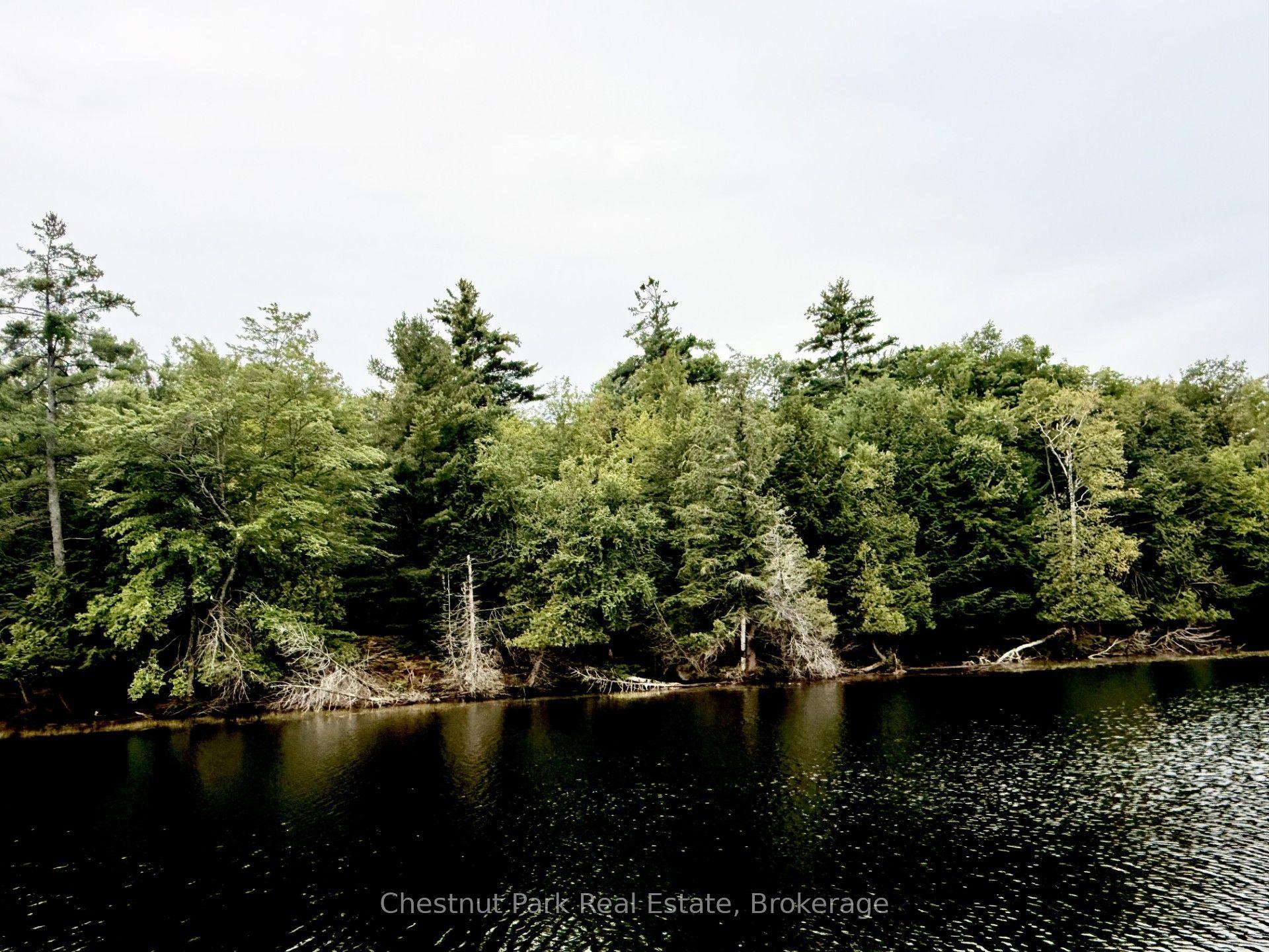 375 Peninsula Road, Muskoka Lakes — Land for sale, photo 1