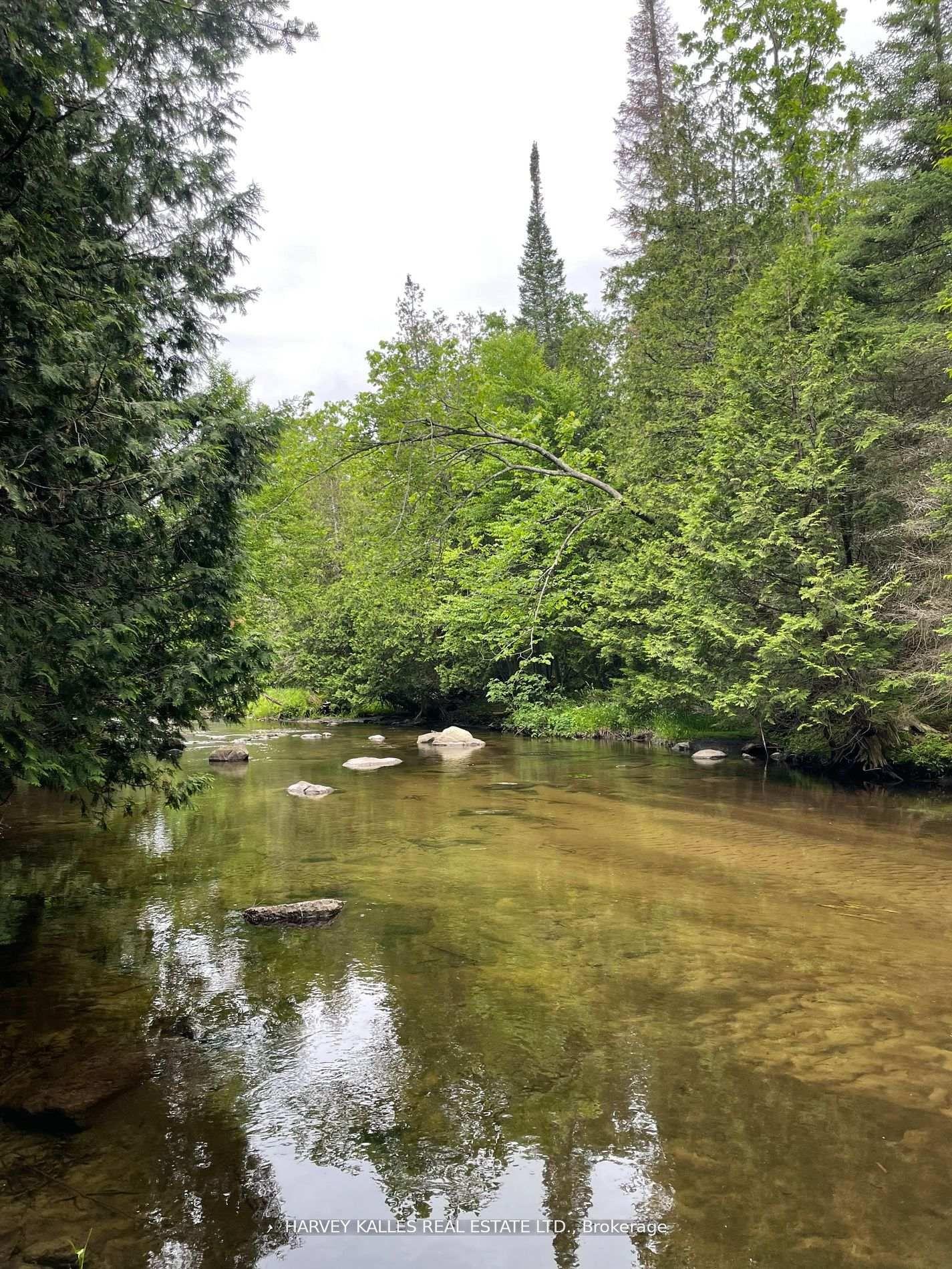 79 Gummow Road — photo 1