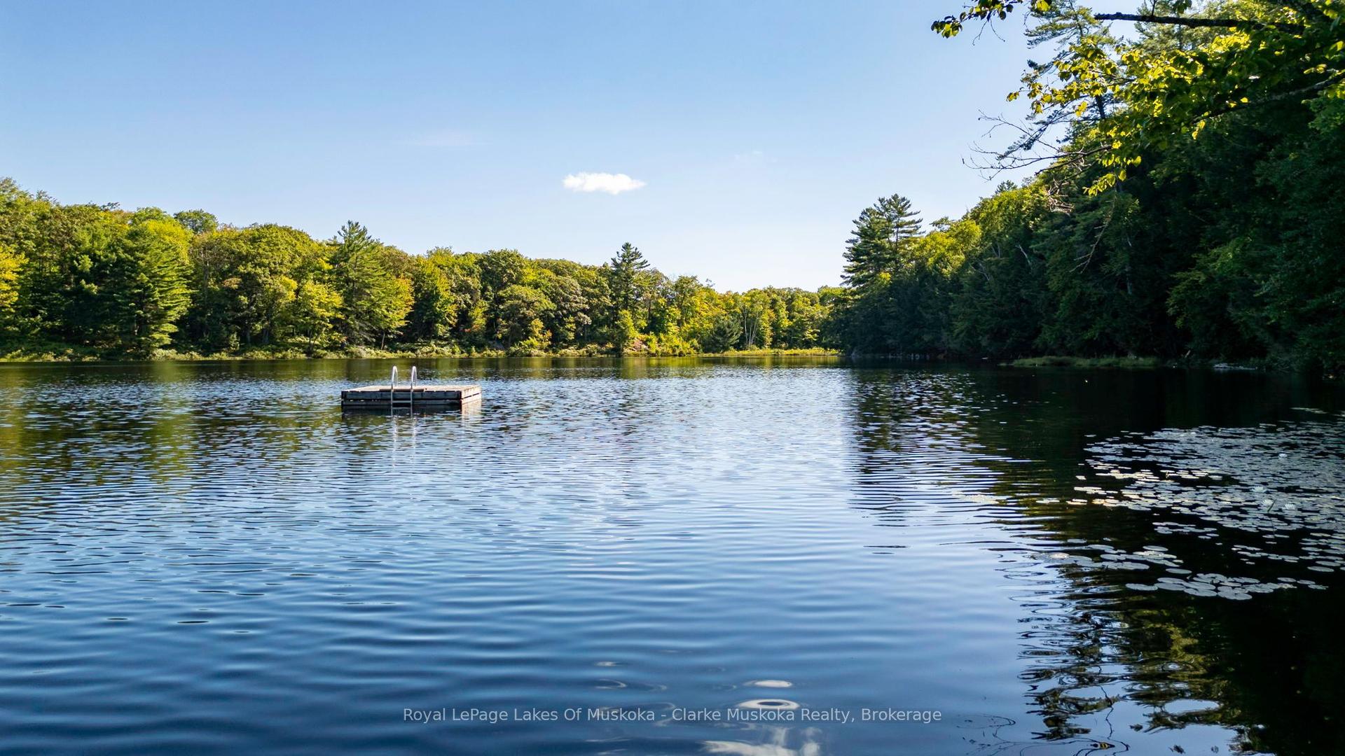 74 Lioness Road — photo 1