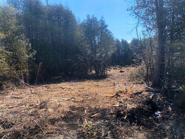 LT 3 ARMSTRONG Road — photo 1