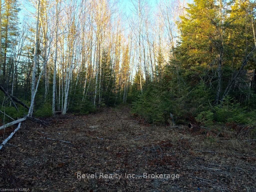 E 1/2 LT 22 CON 10 OPS CITY OF KAWARTHA LAKES N/A — photo 1