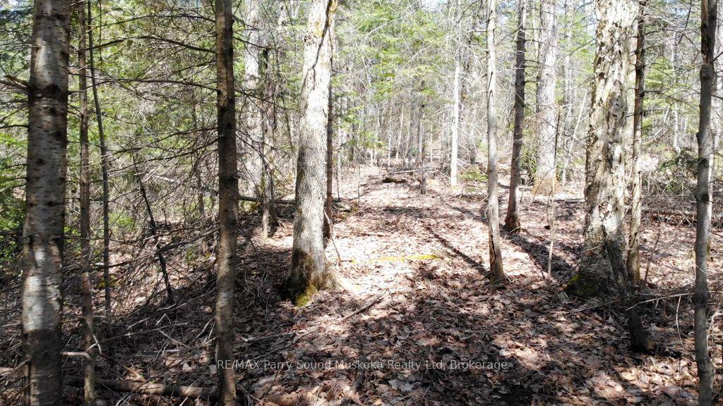 1025 520N Highway, Whitestone — Land for sale, photo 1