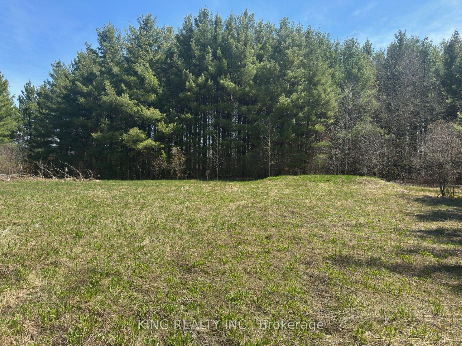6081 Hwy 89, Minto — Land for sale, photo 1