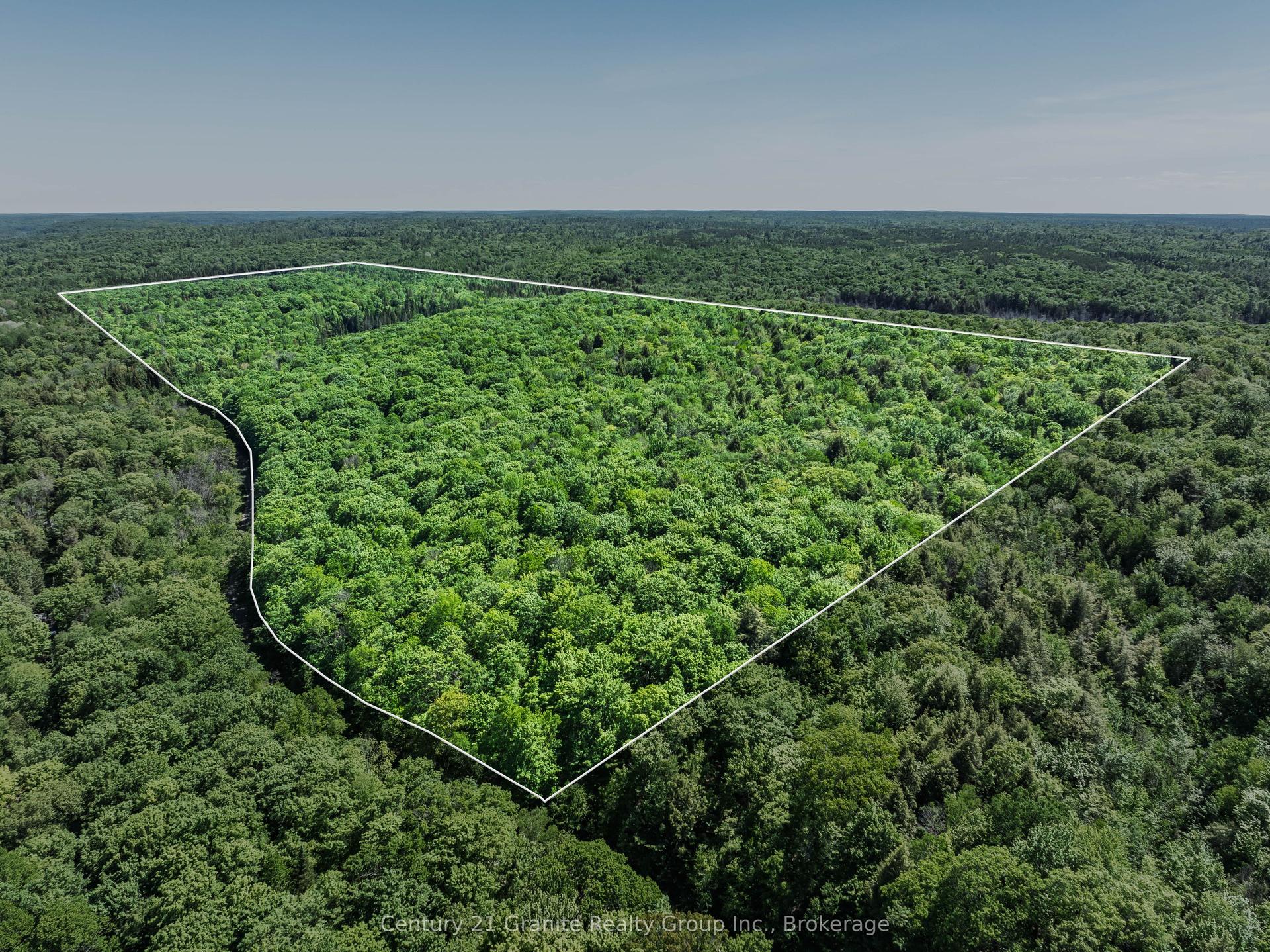0 Kushog Lake Road, Algonquin Highlands — Land for sale, photo 1