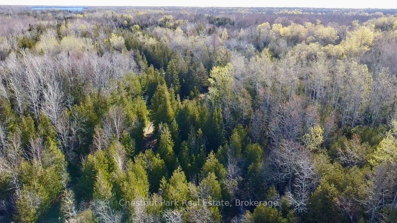 PT LOT 21 Highway 6 N/A — photo 1