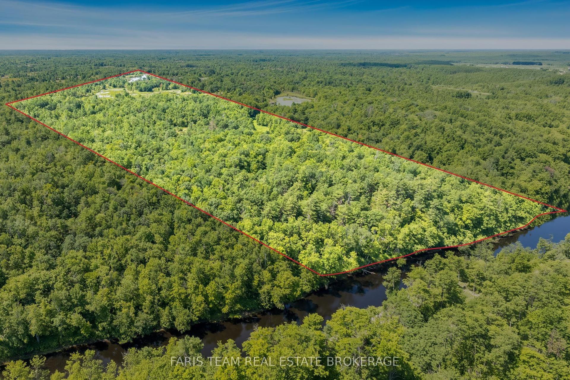 Part Lot 28 Concession 12 Black River Road, Kawartha Lakes — Land for sale, photo 1