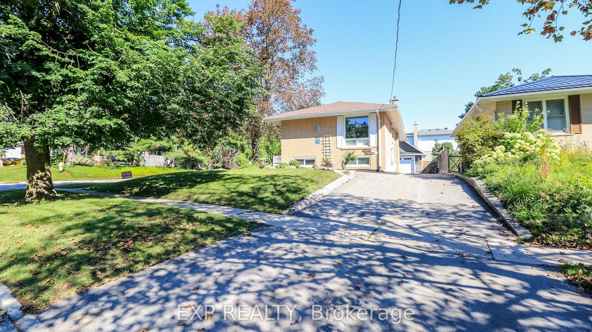 258 Napier Street Basement #Basement, Barrie — Detached for lease, photo 1