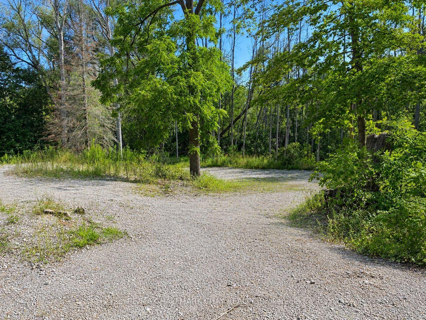 241 Mountain Avenue, Tay — Land for sale, photo 4