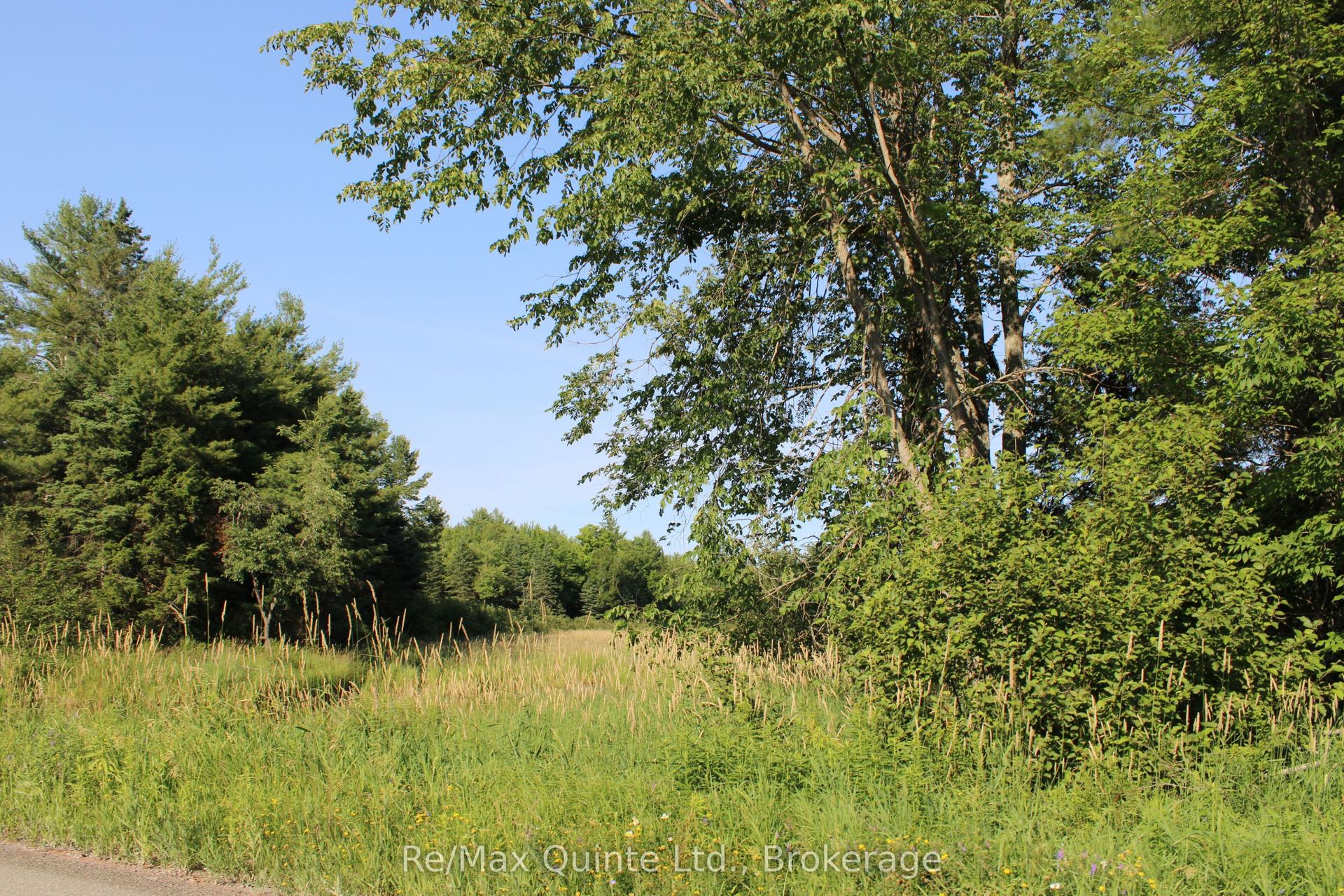 494 Twin Sister Lakes Road, Marmora and Lake — Land for sale, photo 1