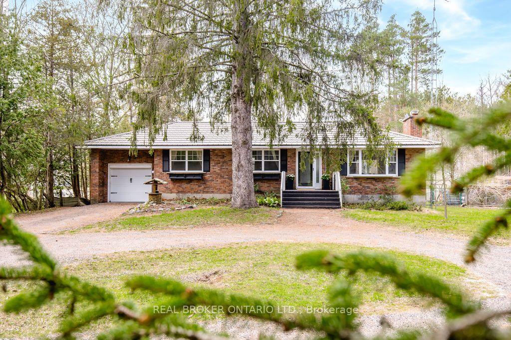 12 Alexander Street — photo 1