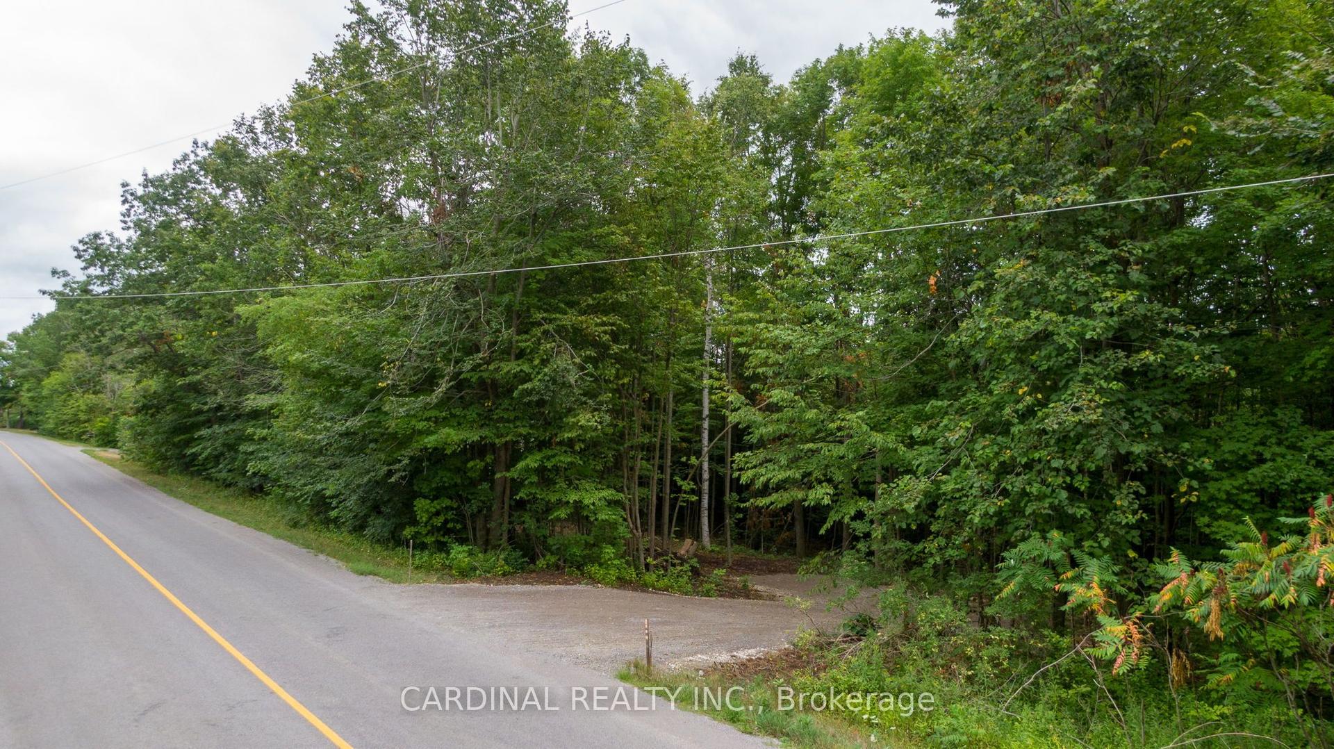 Part 1 Gully Road — photo 1