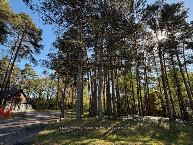 34B Cynthia Crescent, Richmond Hill — Land for sale, photo 1