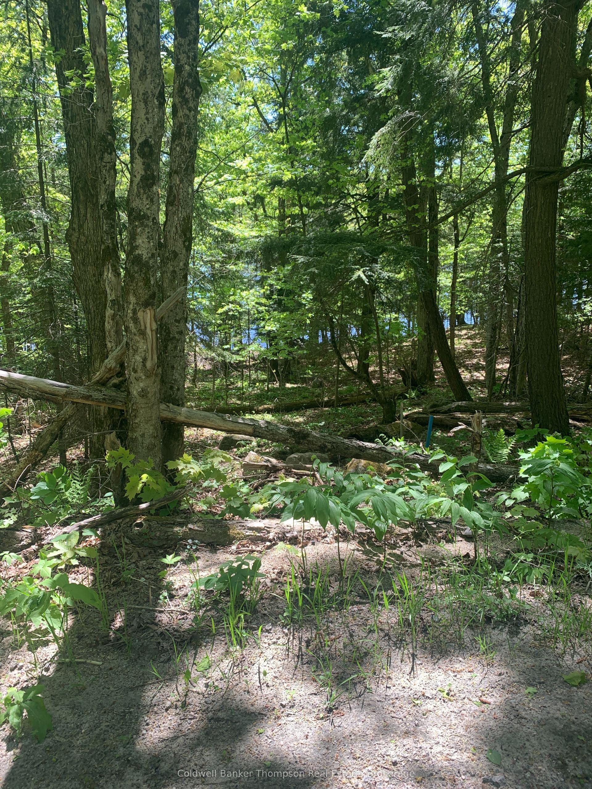 00 Wurm Road — photo 1