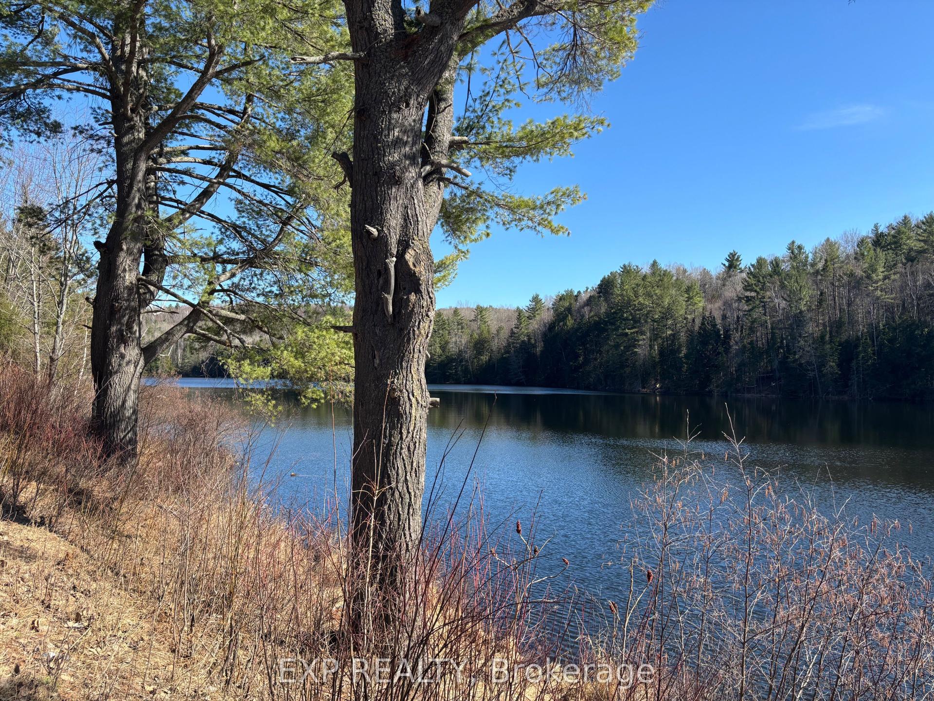 000 Opeongo Road — photo 1