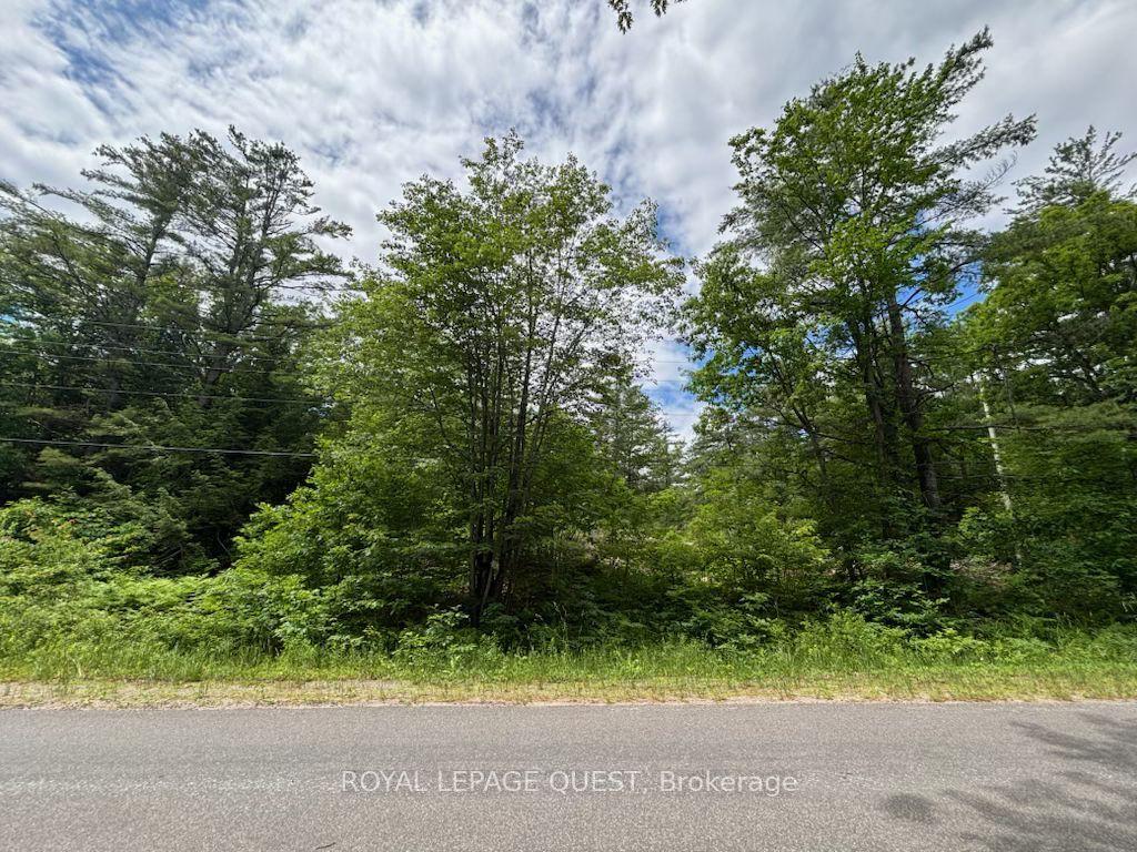 2159 Southwood Road, Gravenhurst — Land for sale, photo 1