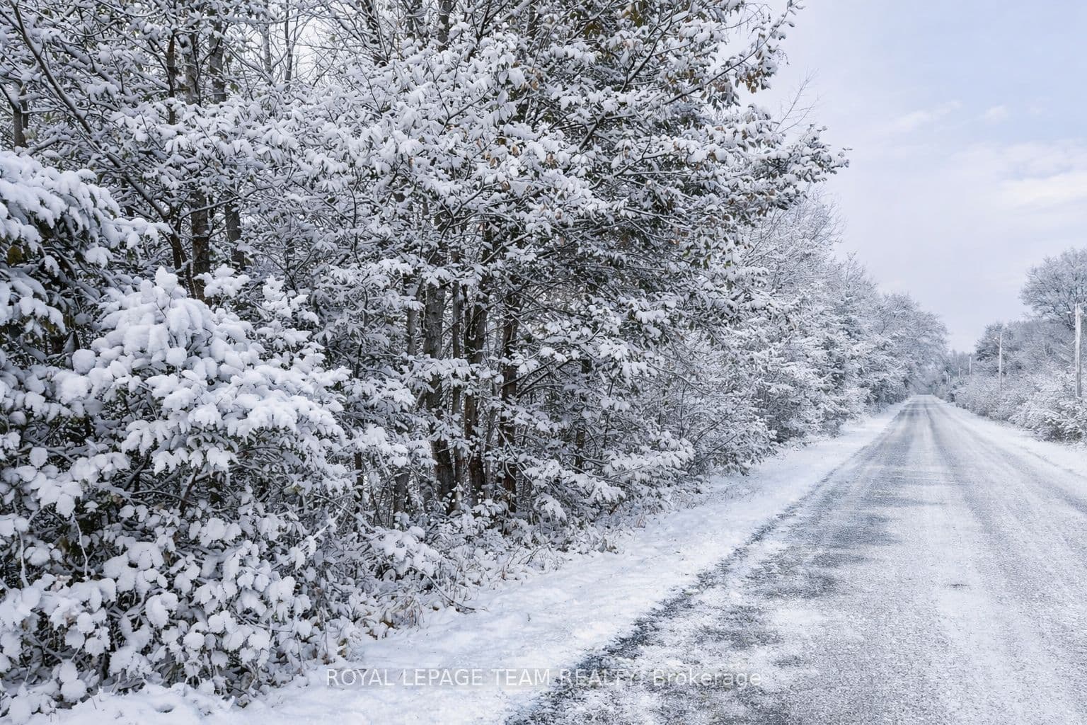 Lot 3 Old Highway 15 Road — photo 1