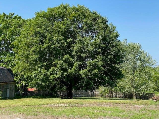 Part #2 Ontario Street — photo 1