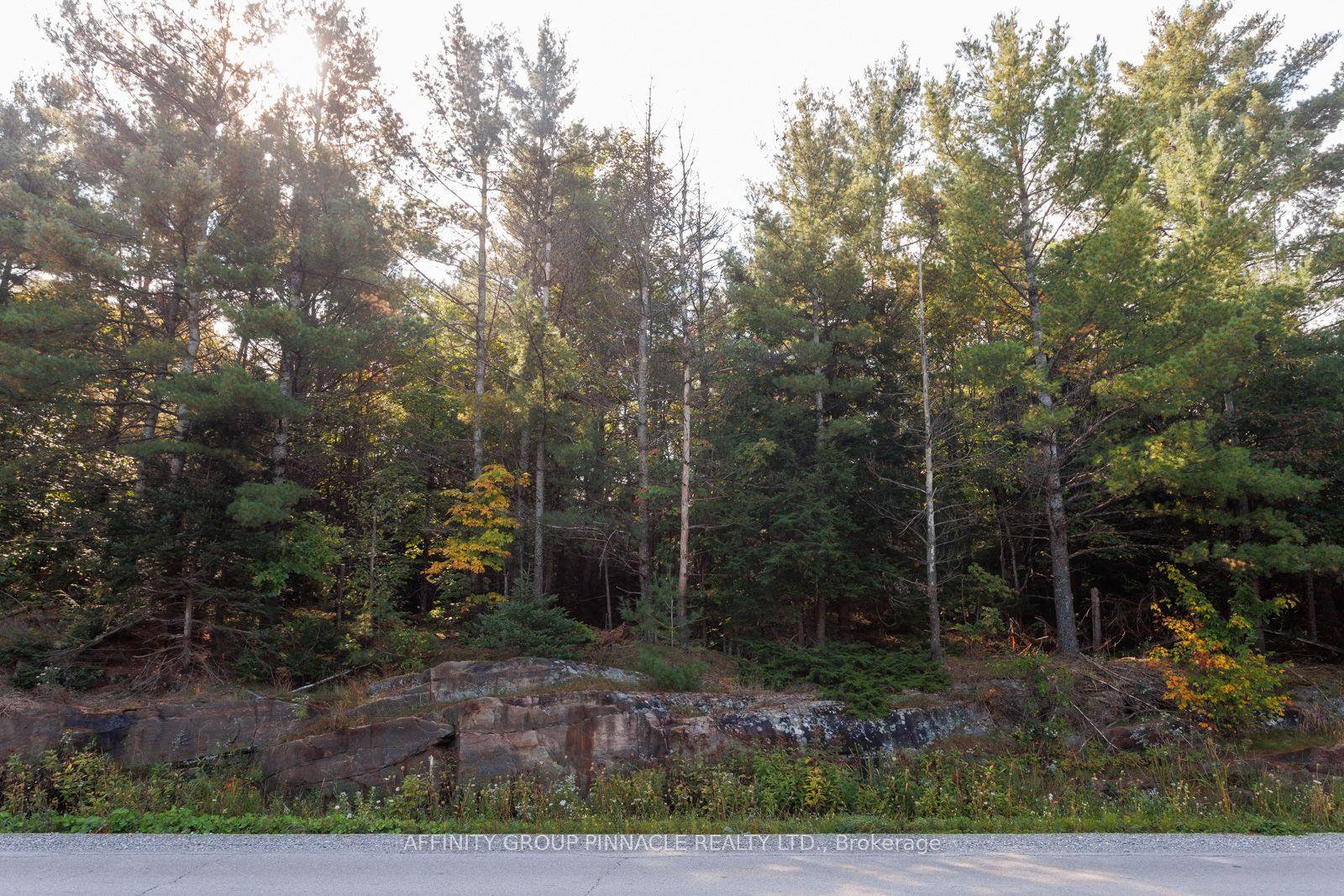 0 Monck Road PART 2 #PART 2 — photo 1