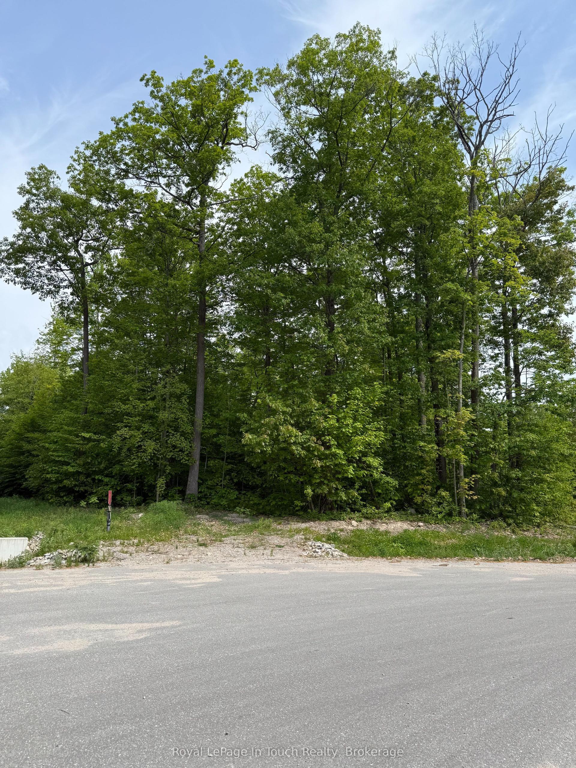 LT 49 Whispering Pine Circle E — photo 1