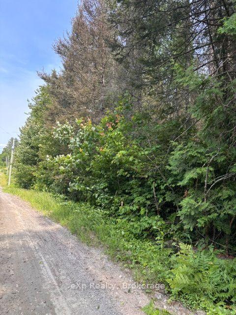 1A PT LT 12 CON 2 Boundary Road, Parry Sound Remote Area — Land for sale, photo 1