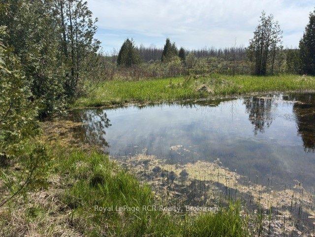 N/A W SUTTER ROAD Road W, Northern Bruce Peninsula — Land for sale, photo 1