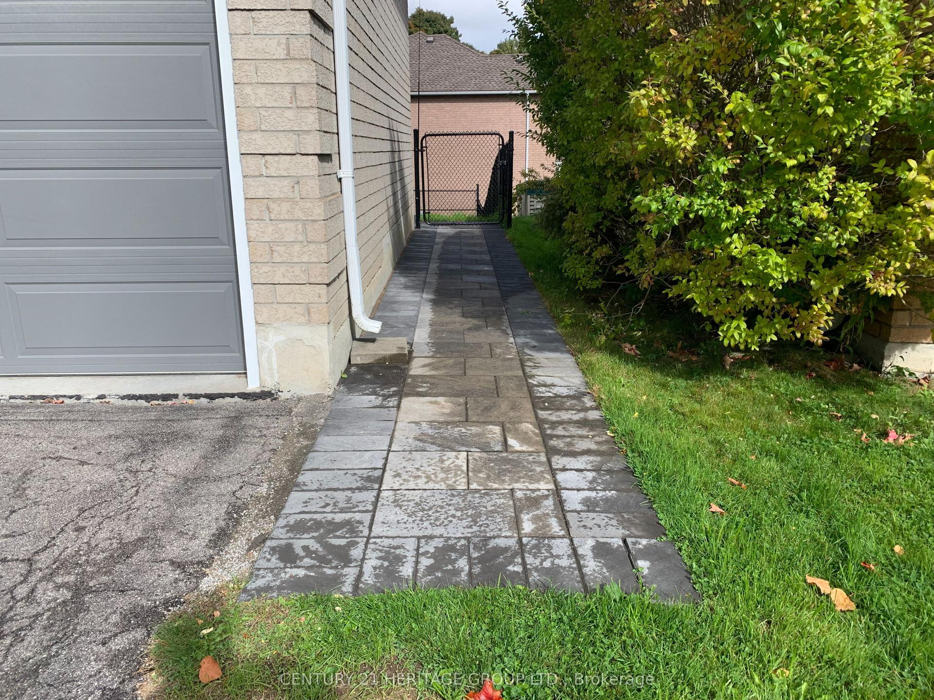 337 Carruthers Avenue Walk-Out Basement #Walk-Out Basement, Newmarket — Detached for lease, photo 1