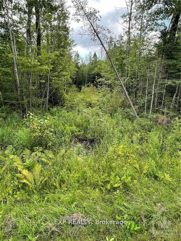 00 A1 CONCESSION ROAD 4 Road, Alfred and Plantagenet — Land for sale, photo 1