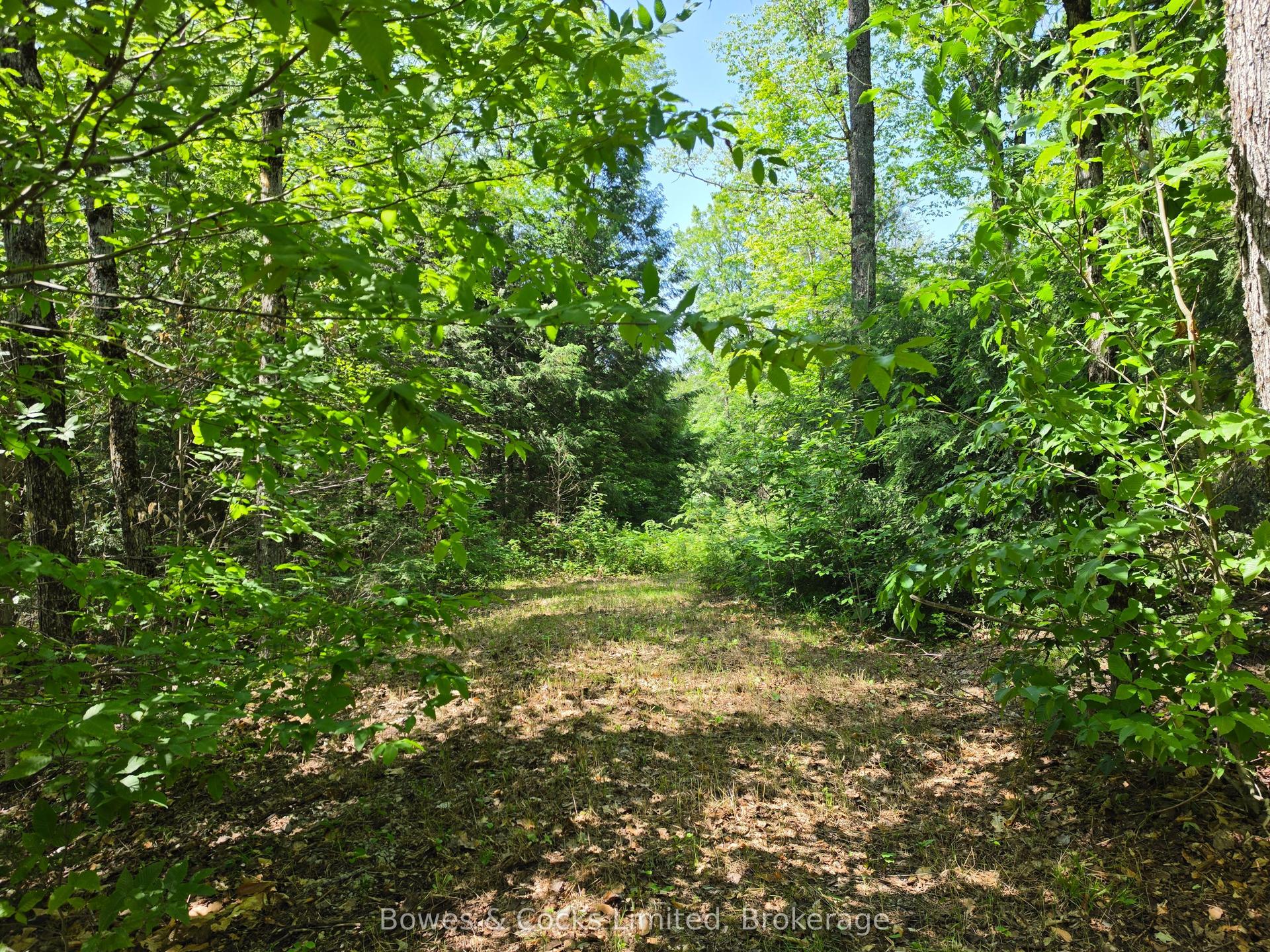 1160 Balmer Road, North Kawartha — Land for sale, photo 1