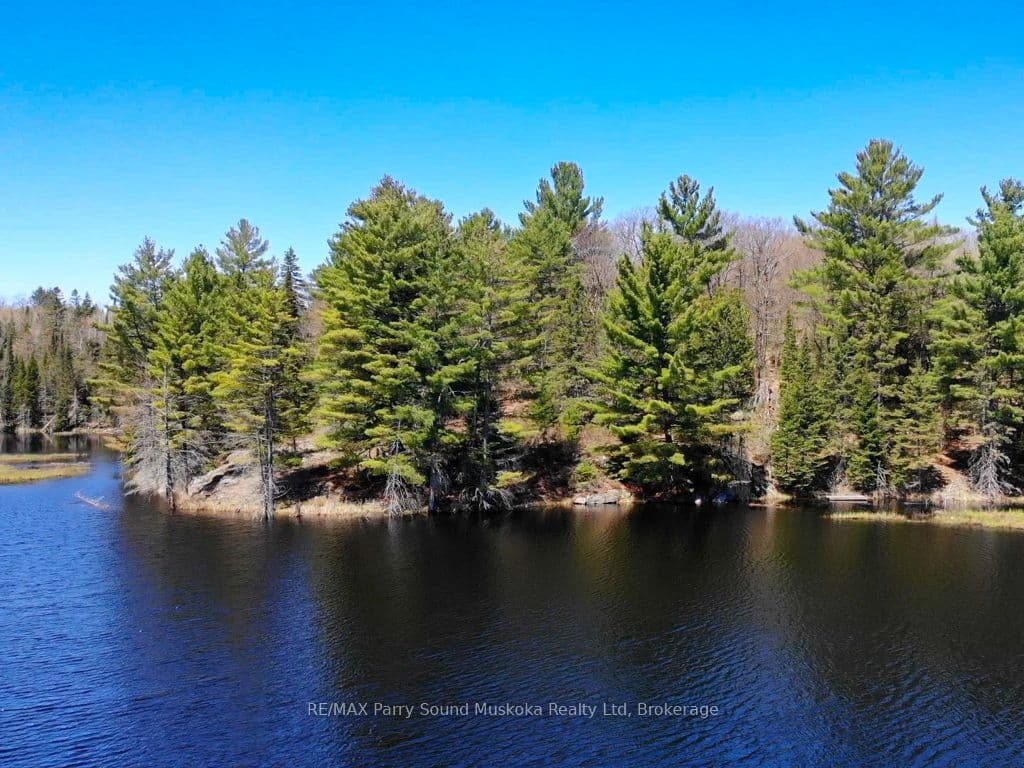 123 520 Highway — photo 1