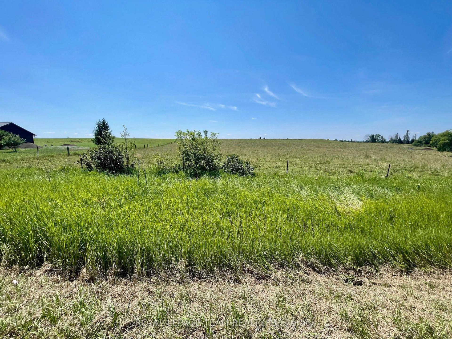 00 Foresters Falls Road, Whitewater Region — Land for sale, photo 1