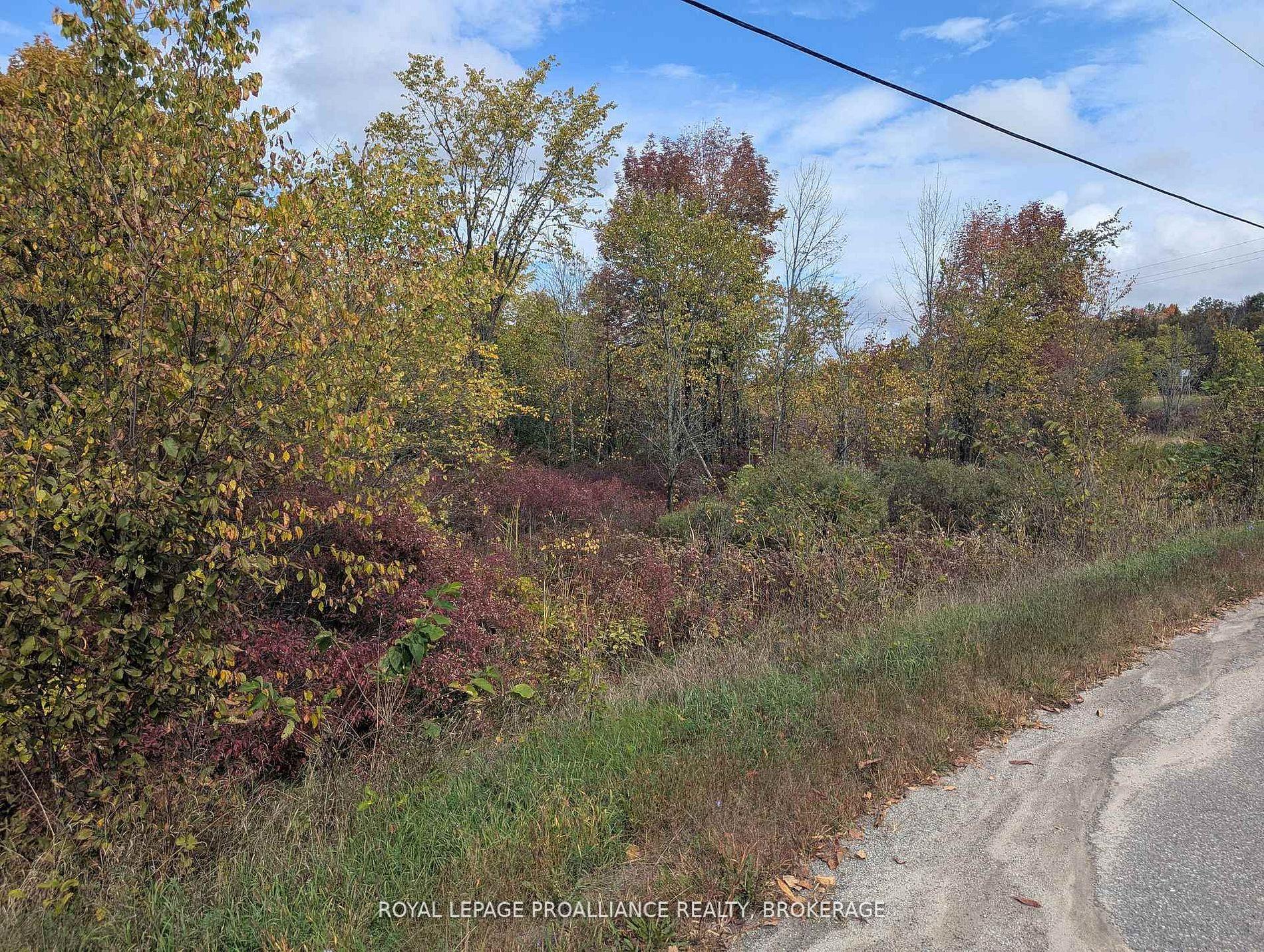 Lot 34 Leo Lake Road, Kingston — Land for sale, photo 1