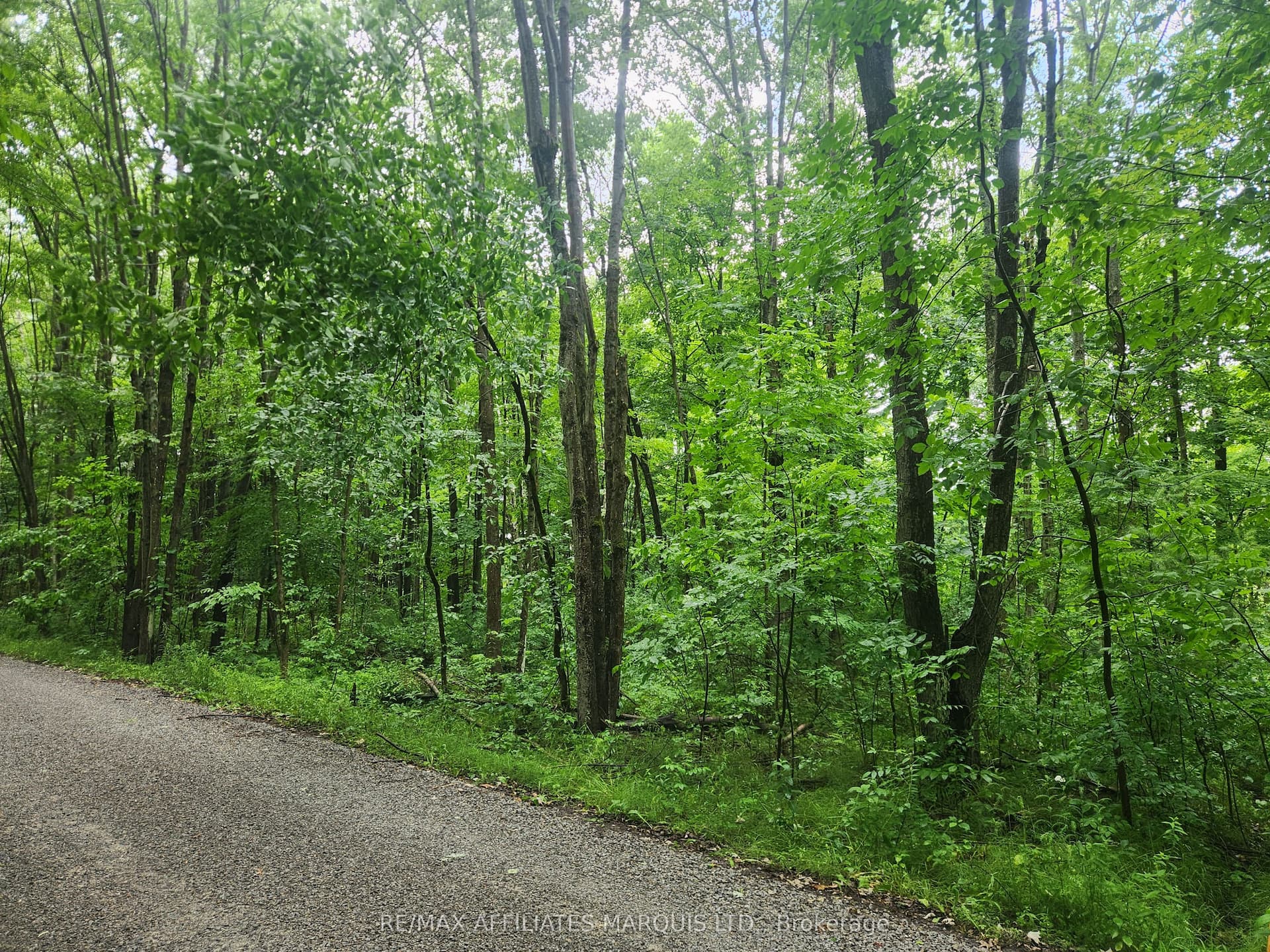 LOT Cedar Sands Road Way — photo 1