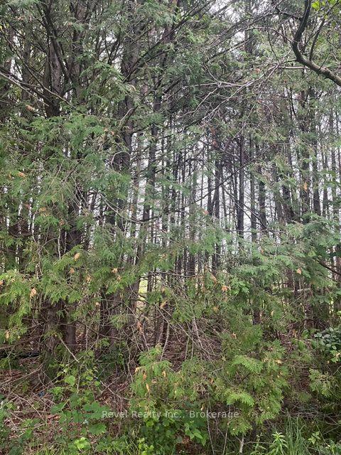 17 DIAMOND LAKE Road — photo 1